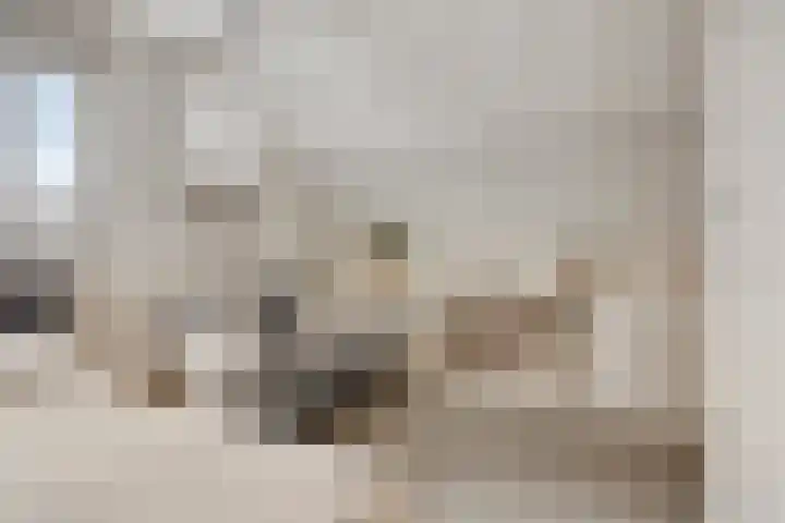 Heijinksweg 20 a Goor thumbnail 38