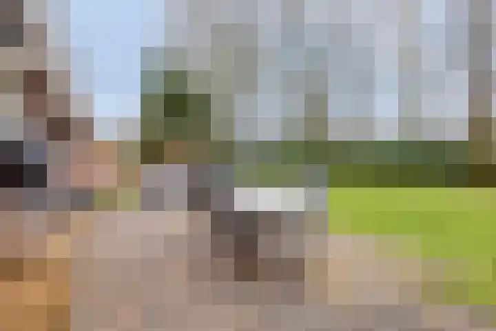 Heijinksweg 20 a Goor thumbnail 44