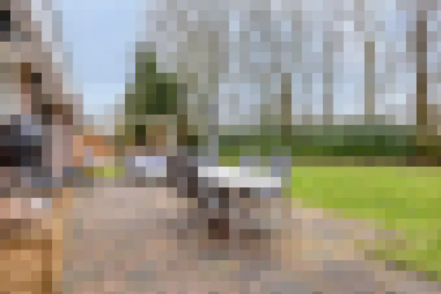 Heijinksweg 20 a Goor thumbnail 44