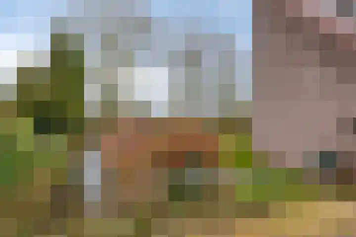 Heijinksweg 20 a Goor thumbnail 50