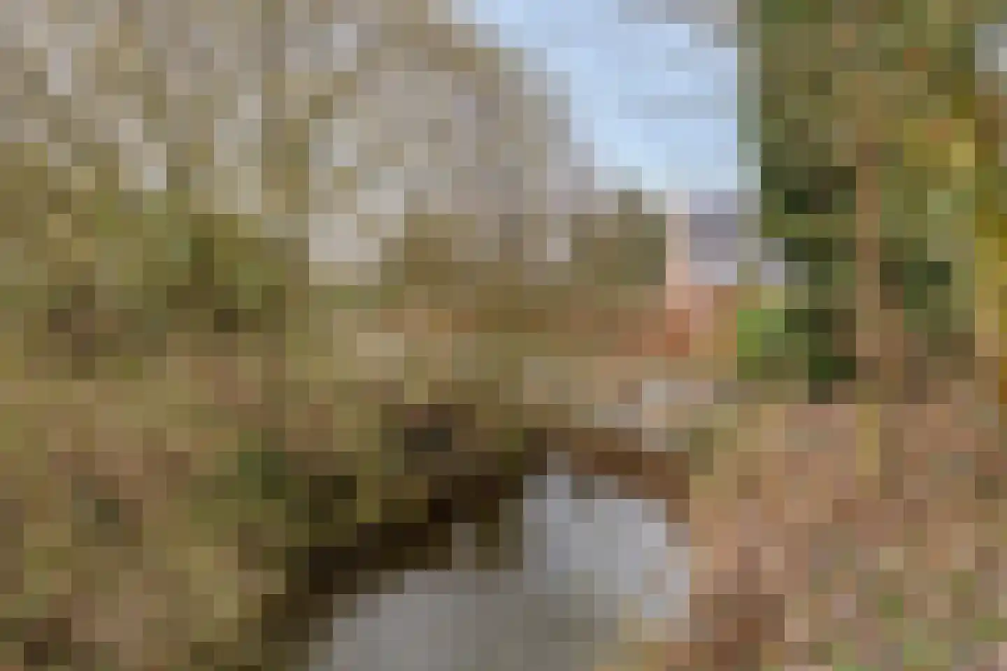 Heijinksweg 20 a Goor thumbnail 52