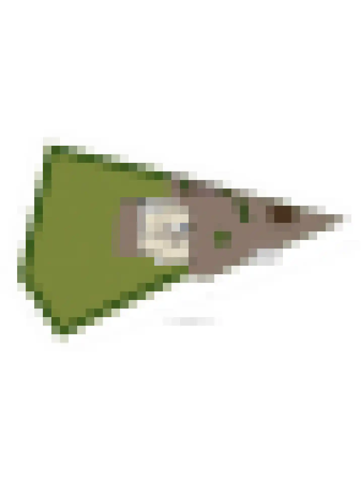 Heijinksweg 20 a Goor thumbnail 58