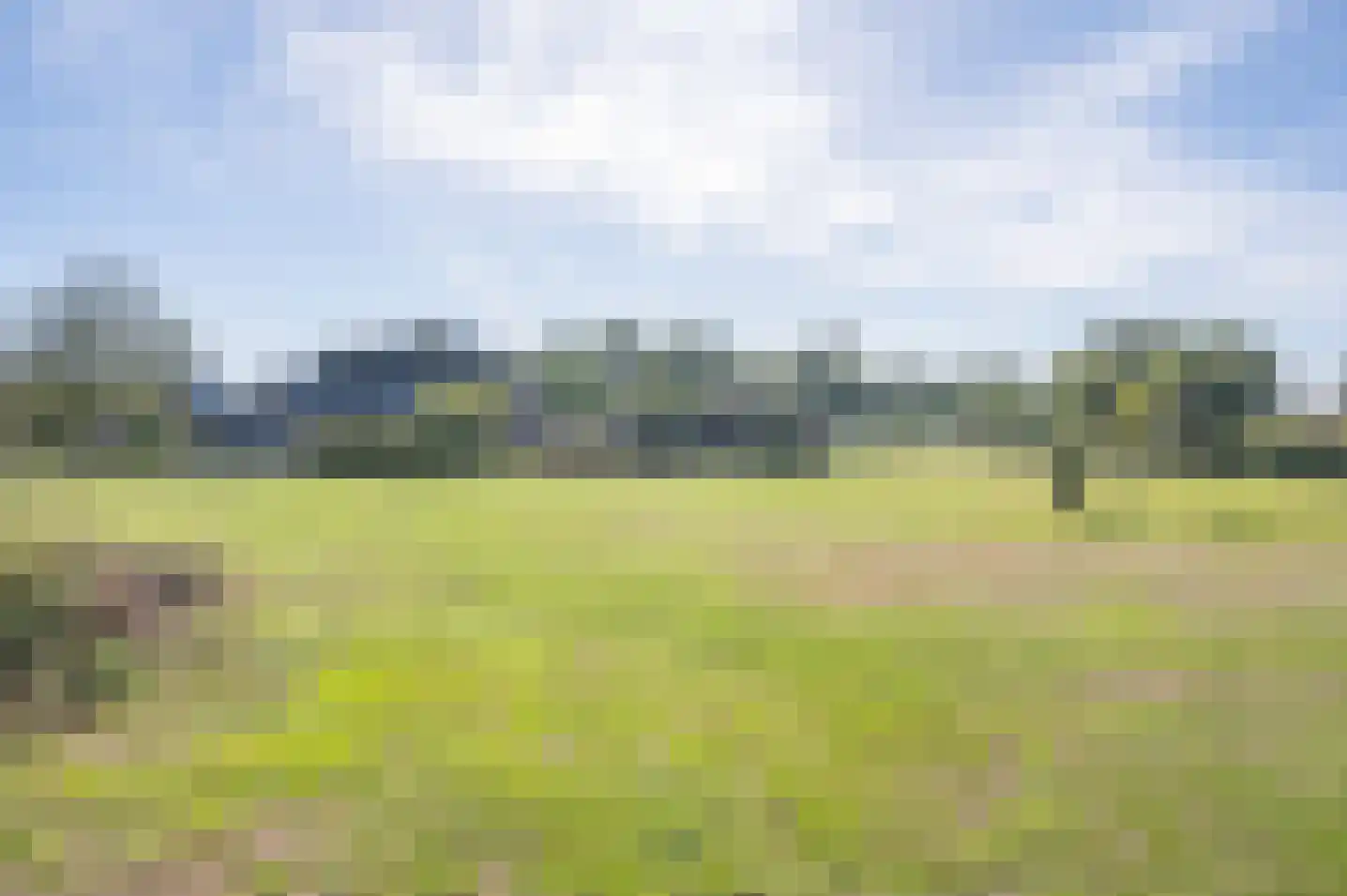 Heijinkweg 11 a Zelhem thumbnail 7
