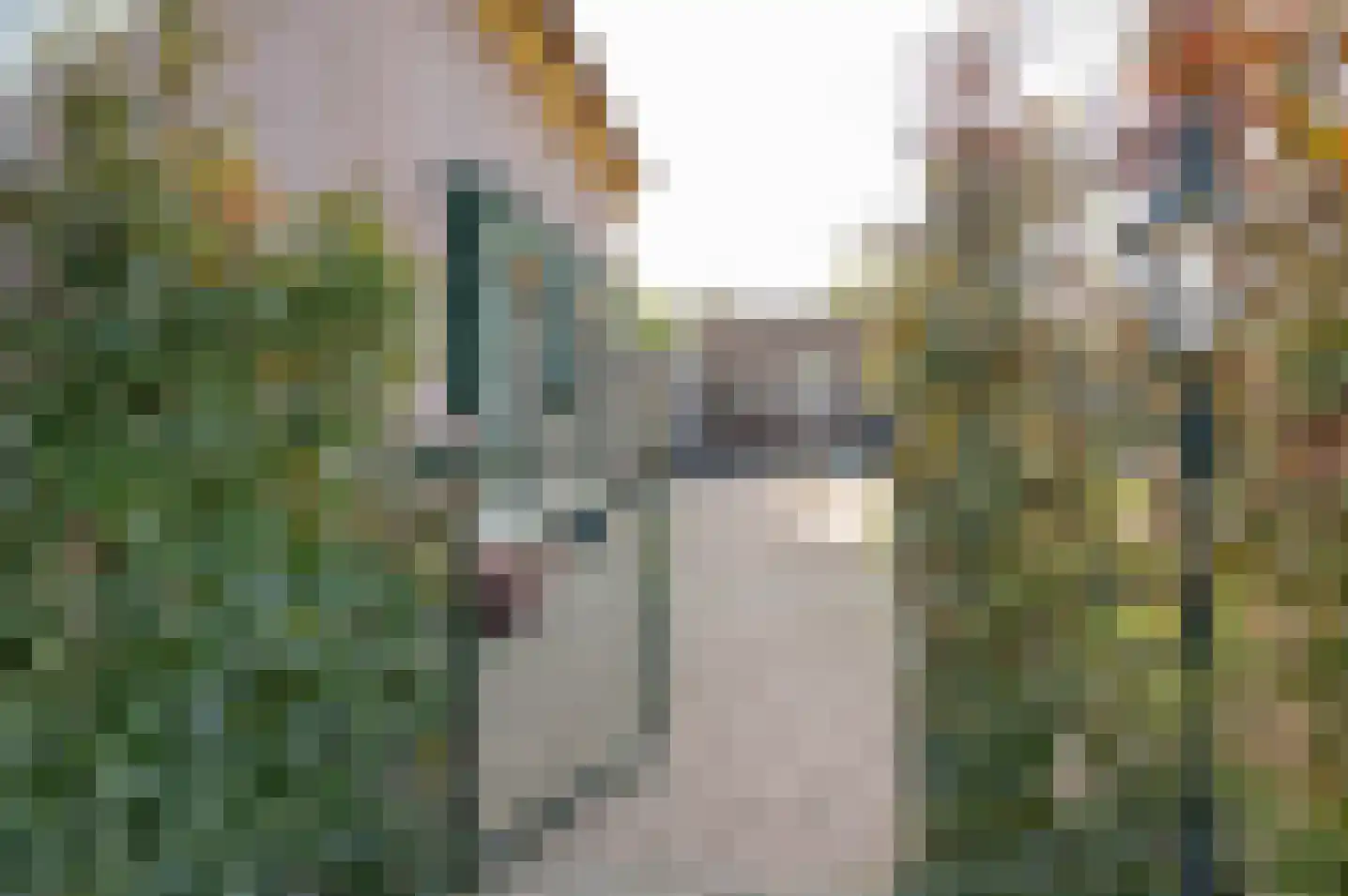 Heijinkweg 11 a Zelhem thumbnail 8