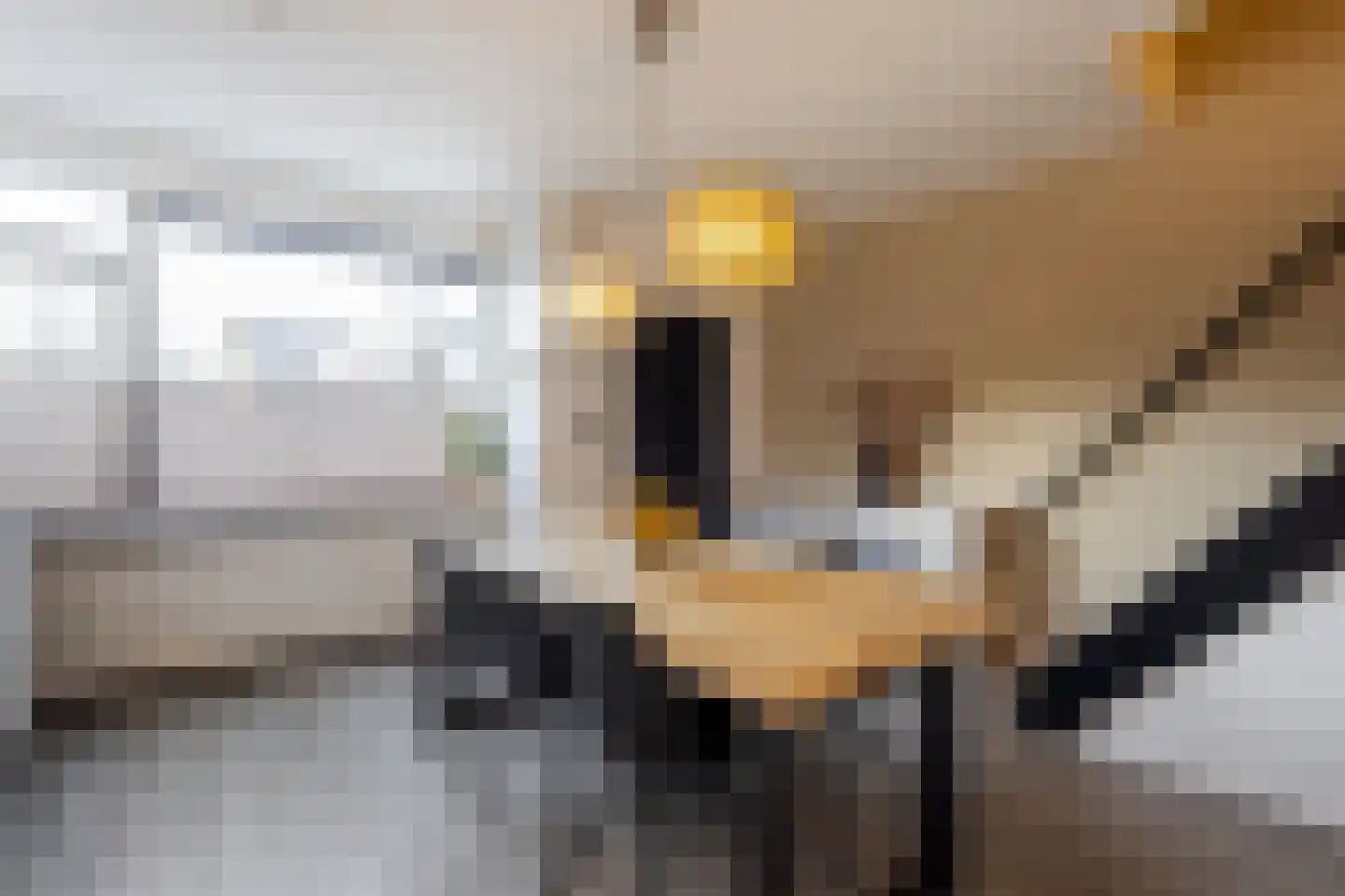 Heijmansweer 2 Hardinxveld-Giessendam thumbnail 12