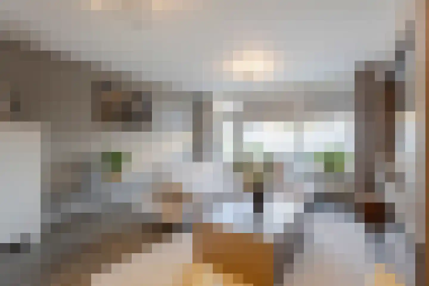 Heijmansweer 2 Hardinxveld-Giessendam thumbnail 13