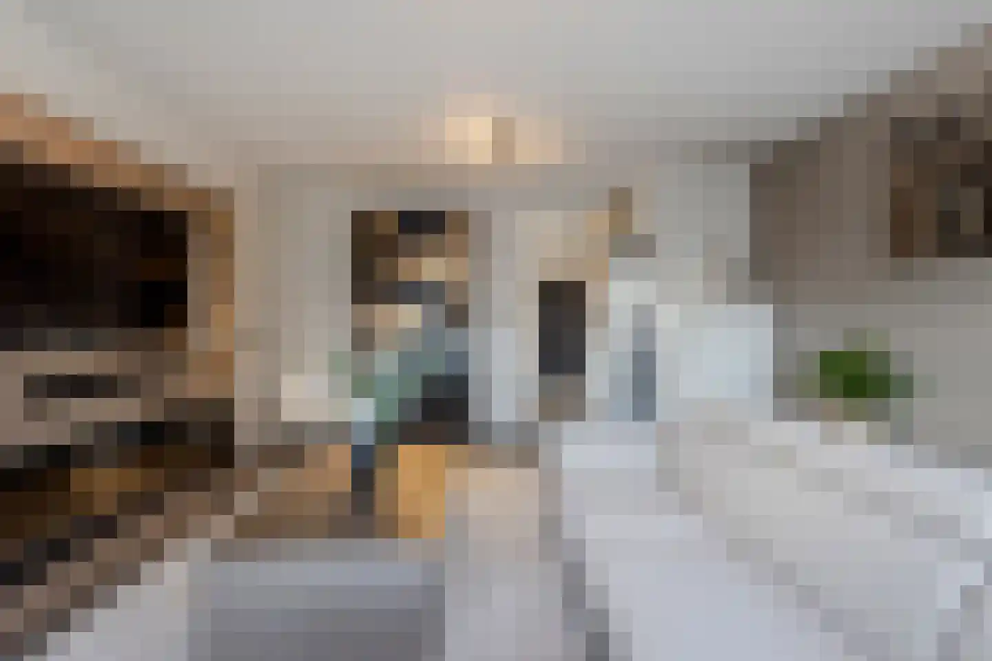 Heijmansweer 2 Hardinxveld-Giessendam thumbnail 14