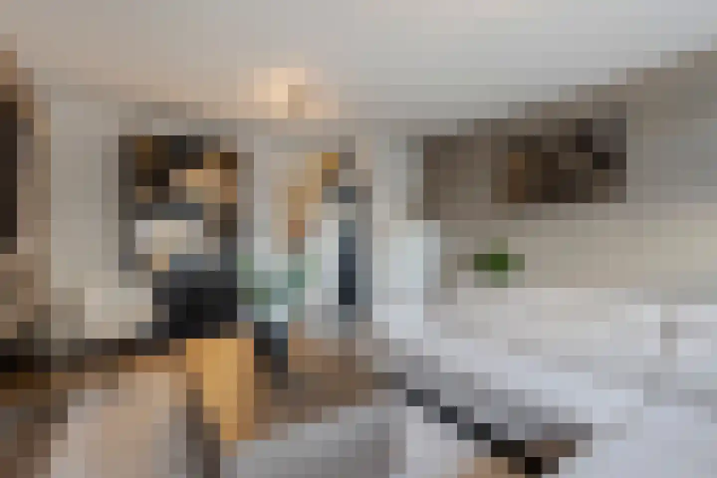 Heijmansweer 2 Hardinxveld-Giessendam thumbnail 15