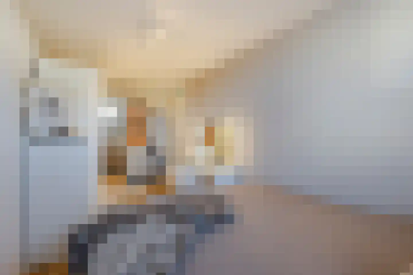 Heijmansweer 2 Hardinxveld-Giessendam thumbnail 21