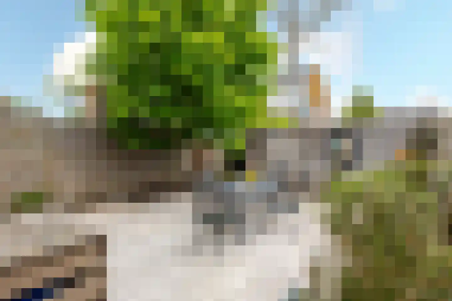 Heijmansweer 2 Hardinxveld-Giessendam thumbnail 31