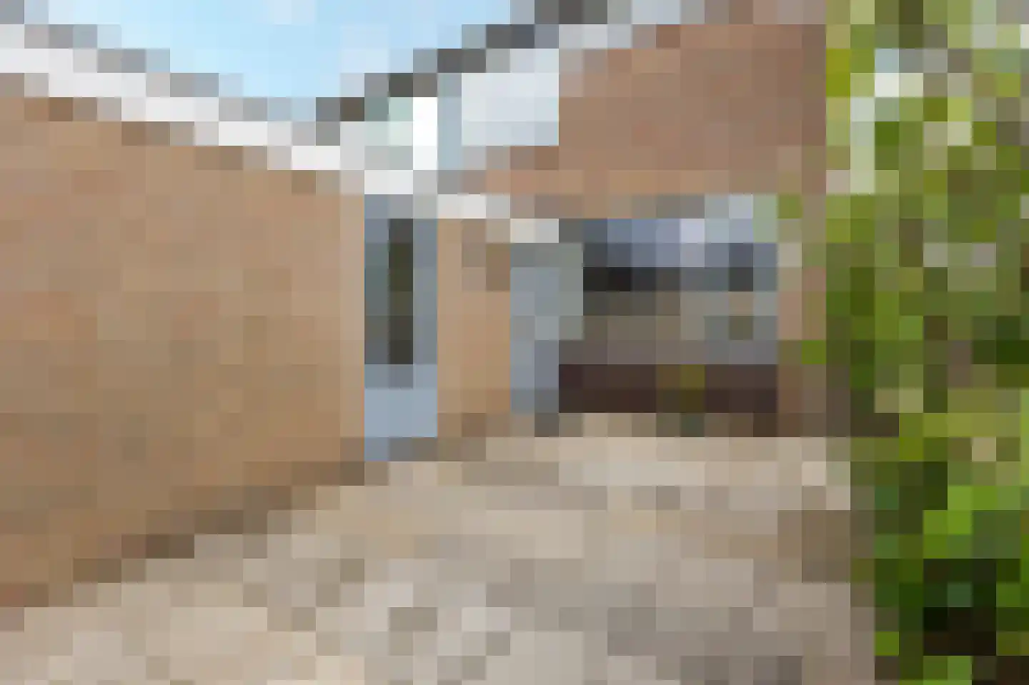 Heijmansweer 2 Hardinxveld-Giessendam thumbnail 33