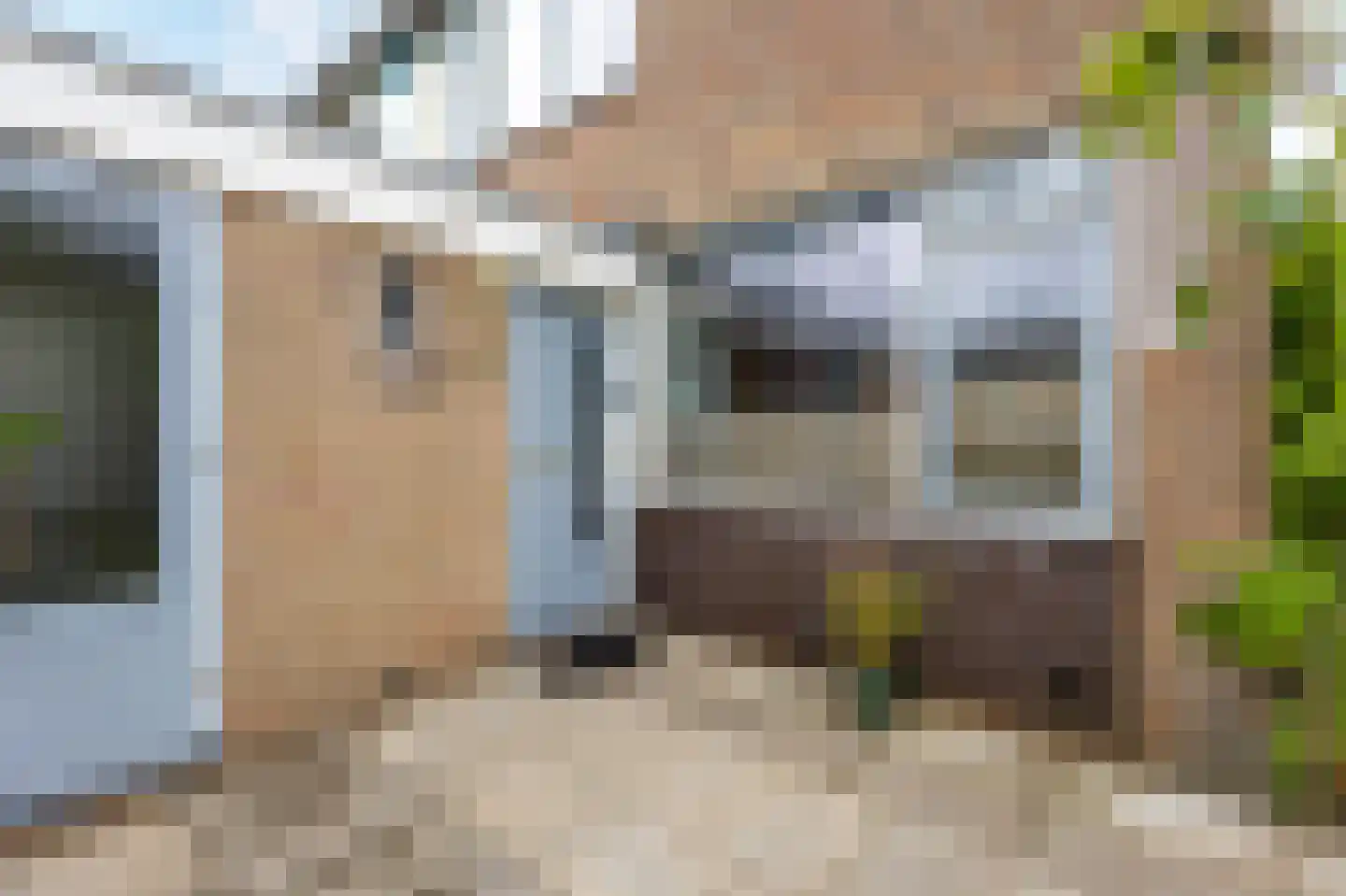 Heijmansweer 2 Hardinxveld-Giessendam thumbnail 34