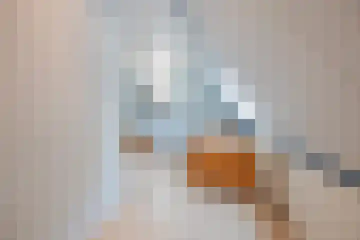 Heijnenstraat 5 Hegelsom thumbnail 37