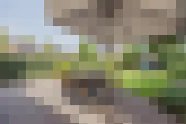 Heijnenstraat 5 Hegelsom thumbnail 41