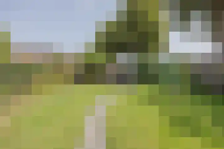 Heijnenstraat 5 Hegelsom thumbnail 42