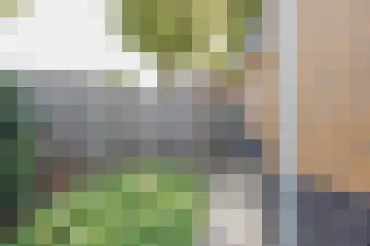Heijnenstraat 5 Hegelsom thumbnail 46