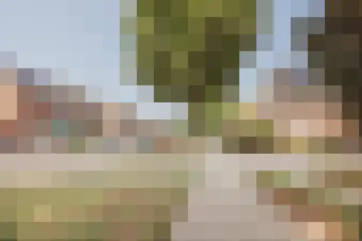 Heijnenstraat 5 Hegelsom thumbnail 51