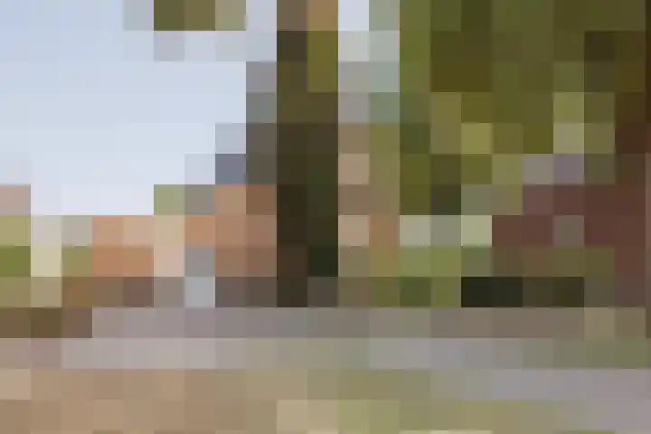 Heijnenstraat 5 Hegelsom thumbnail 7