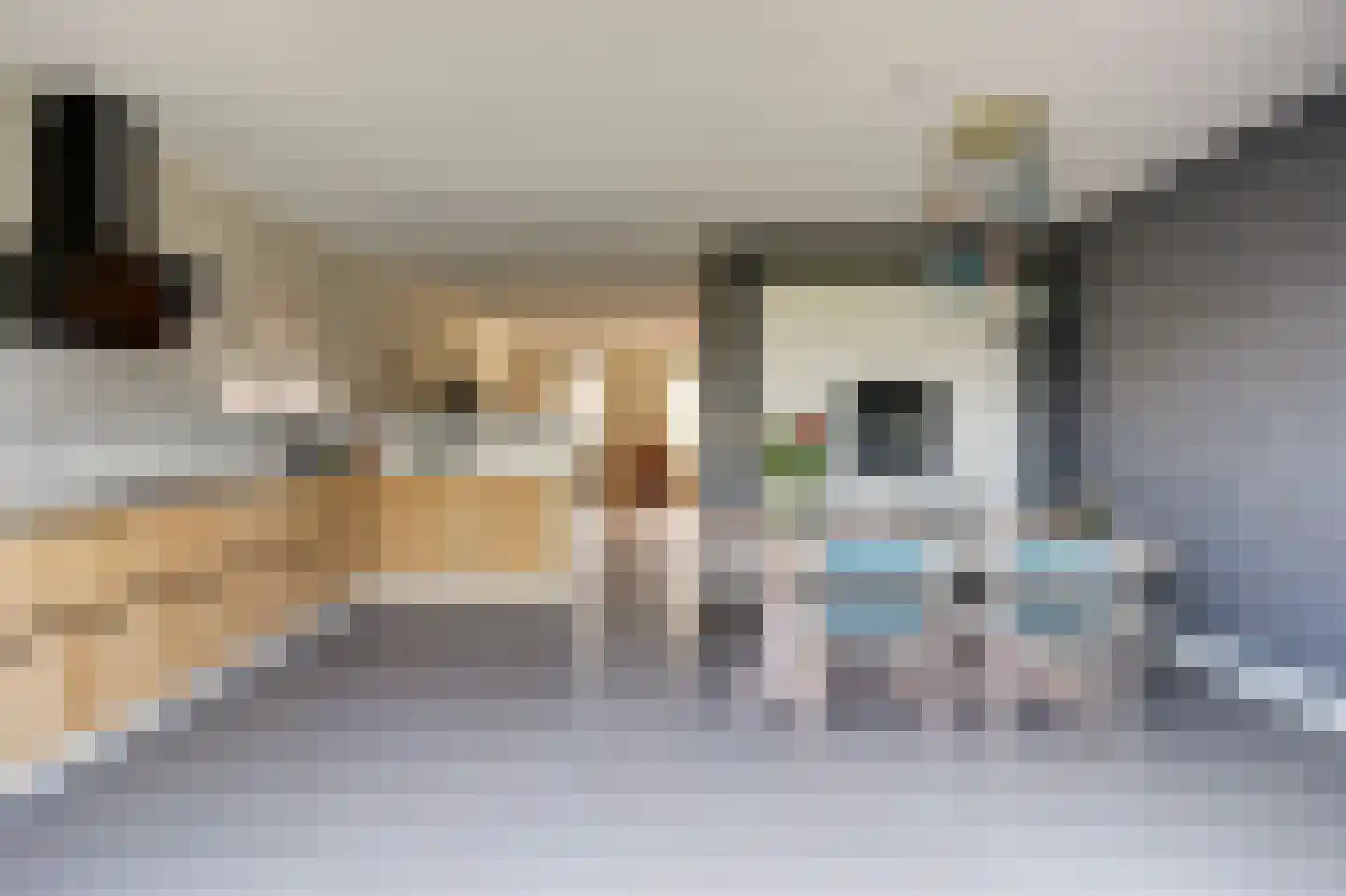 Heijnkesakker 20 Heerhugowaard thumbnail 13