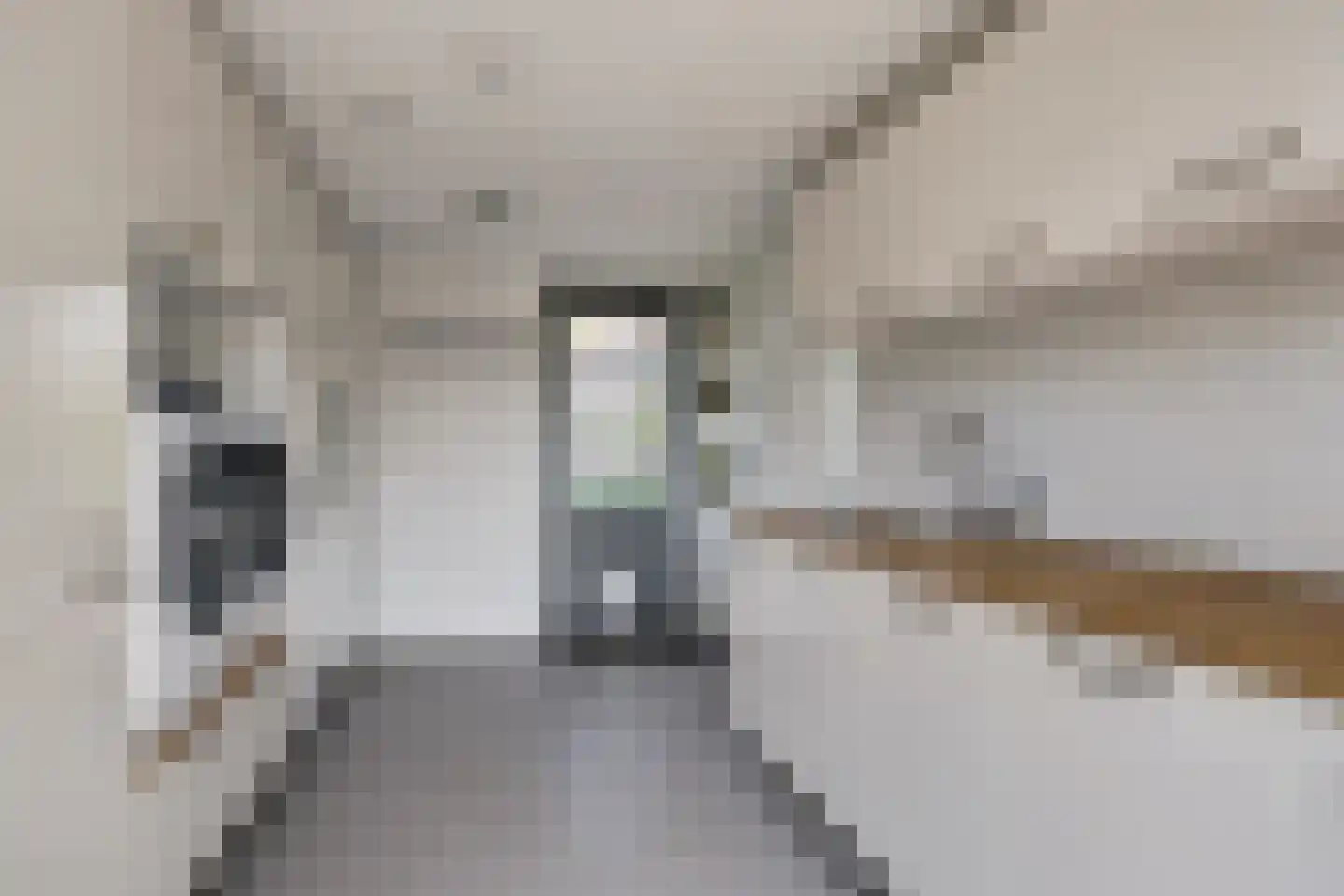 Heijnkesakker 20 Heerhugowaard thumbnail 23