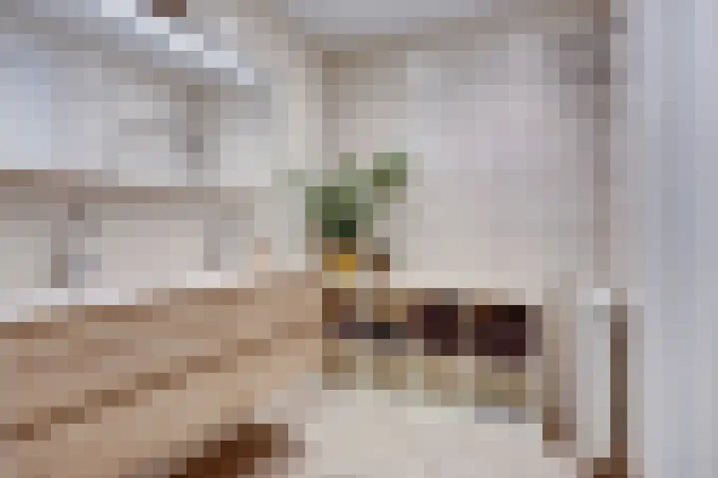 Heijnkesakker 20 Heerhugowaard thumbnail 32