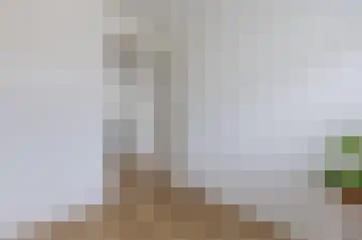 Heijnkesakker 9 Heerhugowaard thumbnail 20