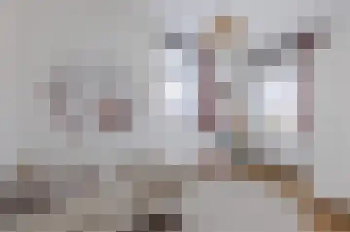 Heijnkesakker 9 Heerhugowaard thumbnail 21
