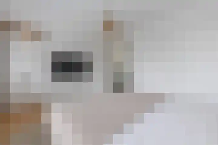 Heijnkesakker 9 Heerhugowaard thumbnail 22