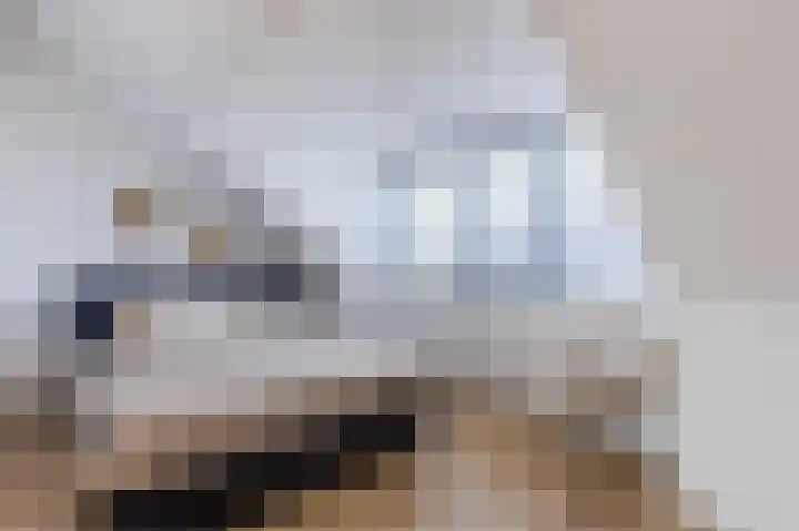 Heijnkesakker 9 Heerhugowaard thumbnail 30