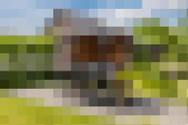 Heijnkesakker 9 Heerhugowaard thumbnail 35