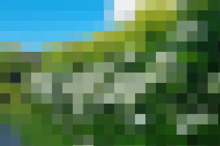 Heijnkesakker 9 Heerhugowaard thumbnail 37