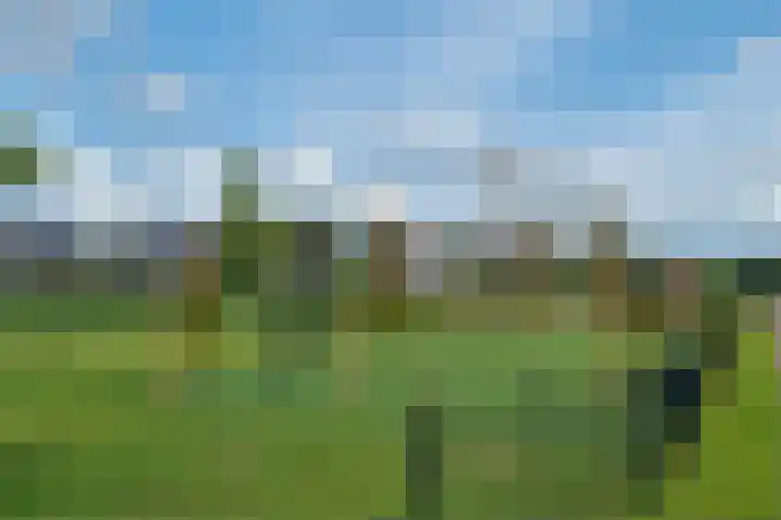 Heijnkesakker 9 Heerhugowaard thumbnail 41