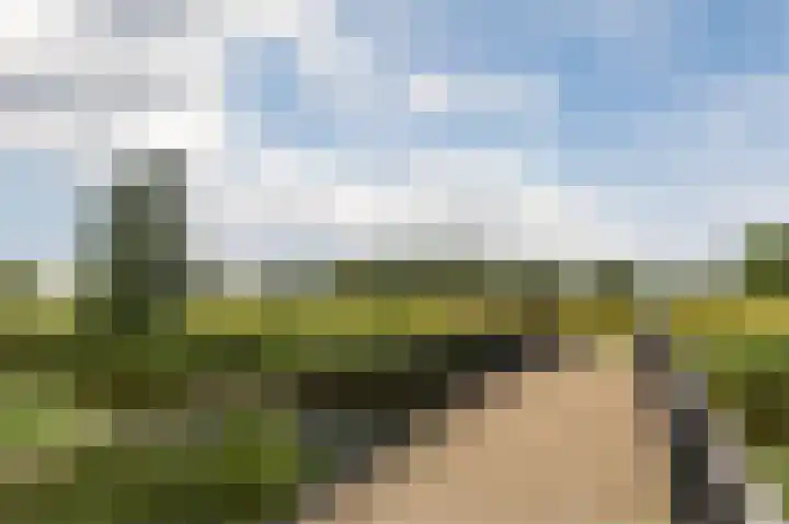 Heijnkesakker 9 Heerhugowaard thumbnail 43