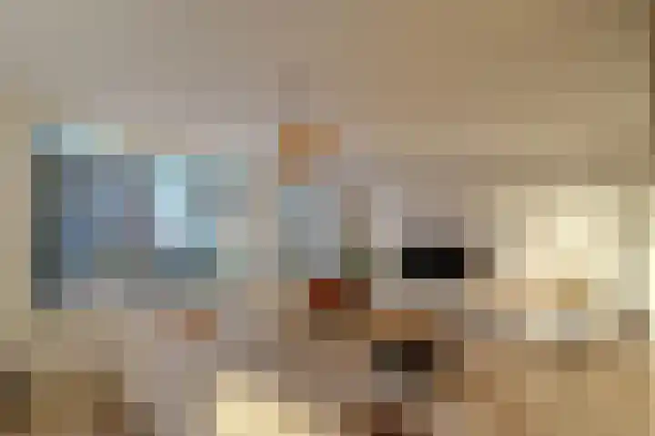 Heijnkesakker 9 Heerhugowaard thumbnail 6