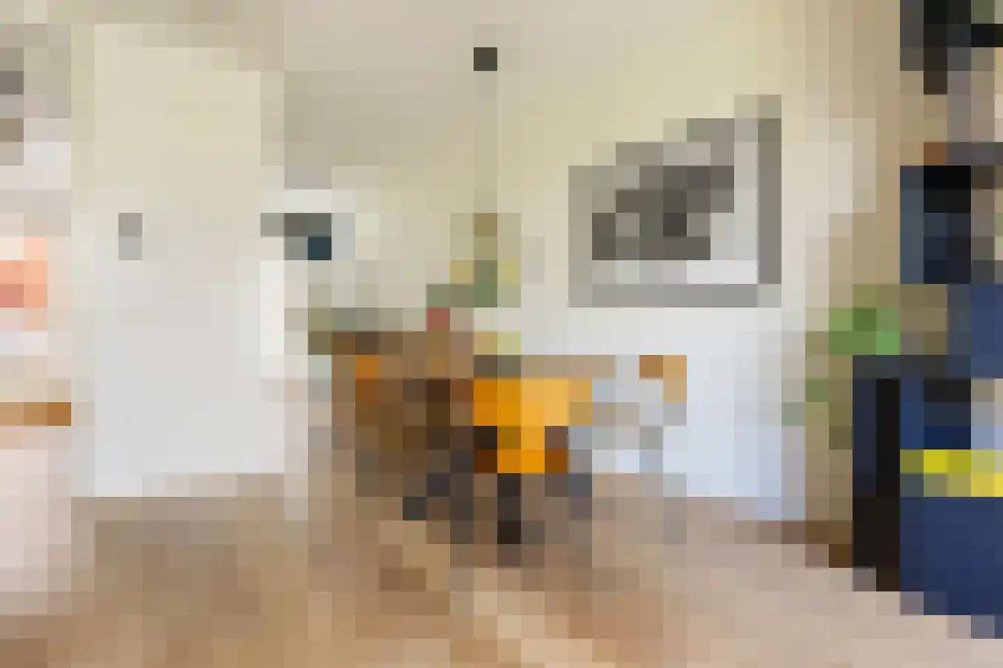 Heijplaat 8 Groningen thumbnail 11