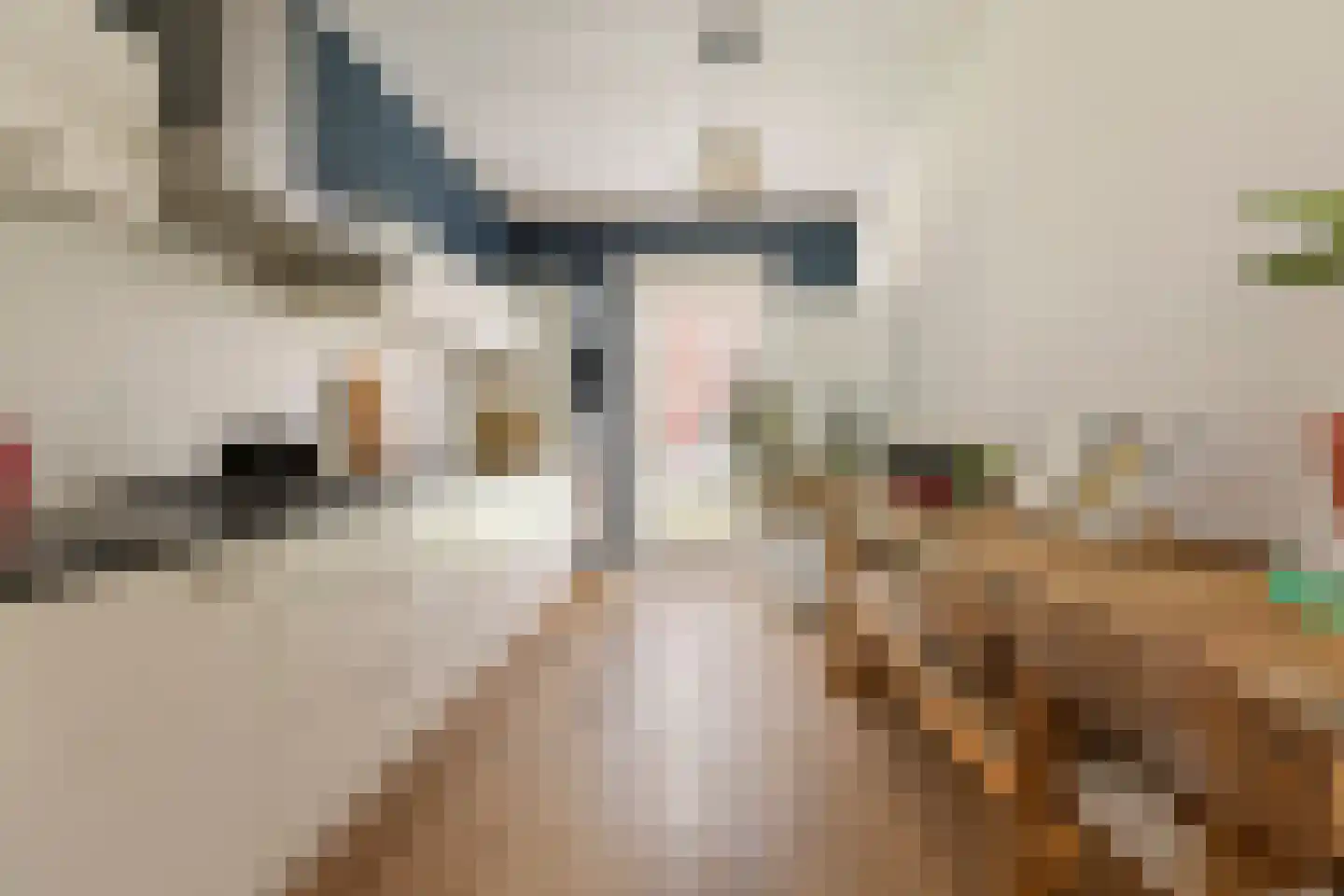 Heijplaat 8 Groningen thumbnail 14