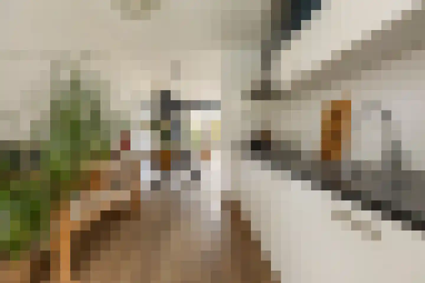 Heijplaat 8 Groningen thumbnail 15