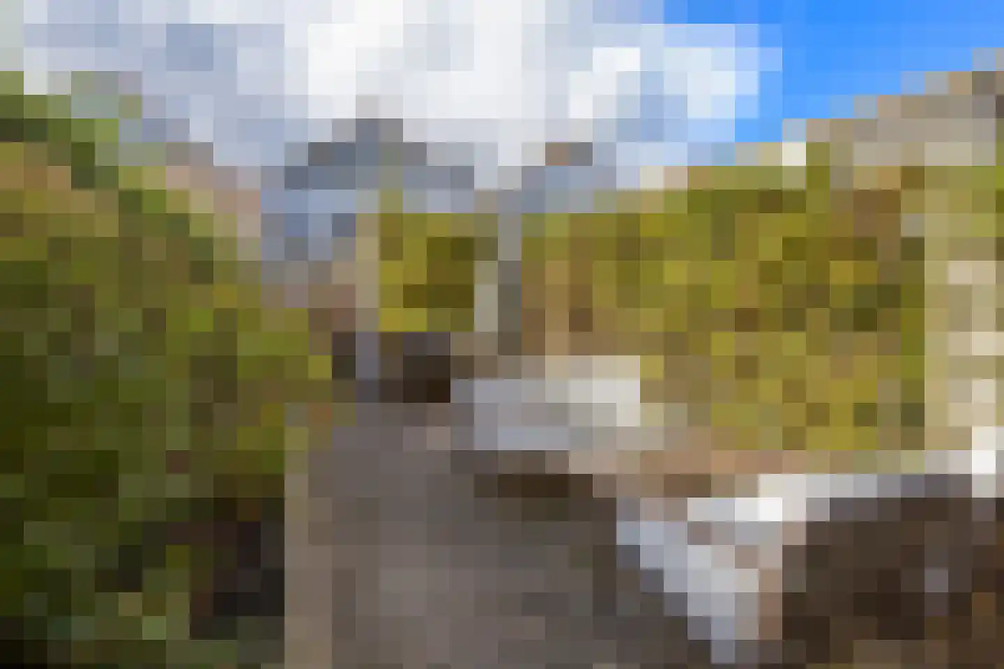 Heijplaat 8 Groningen thumbnail 18