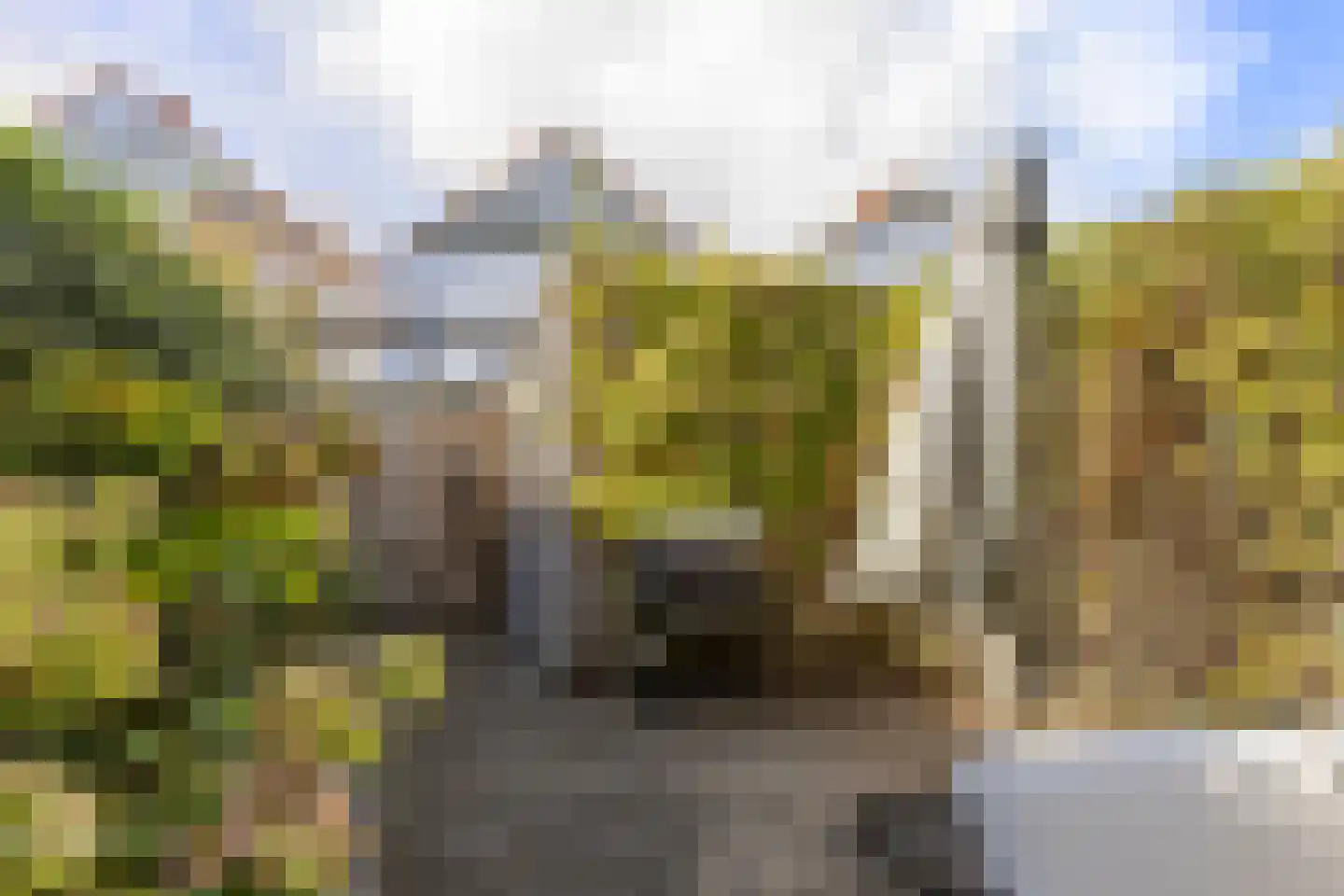 Heijplaat 8 Groningen thumbnail 19