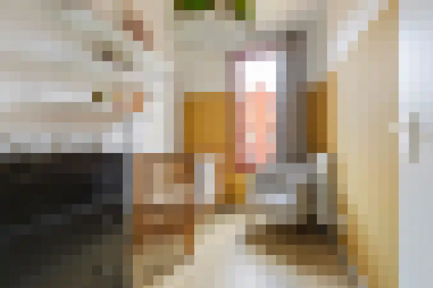 Heijplaat 8 Groningen thumbnail 26