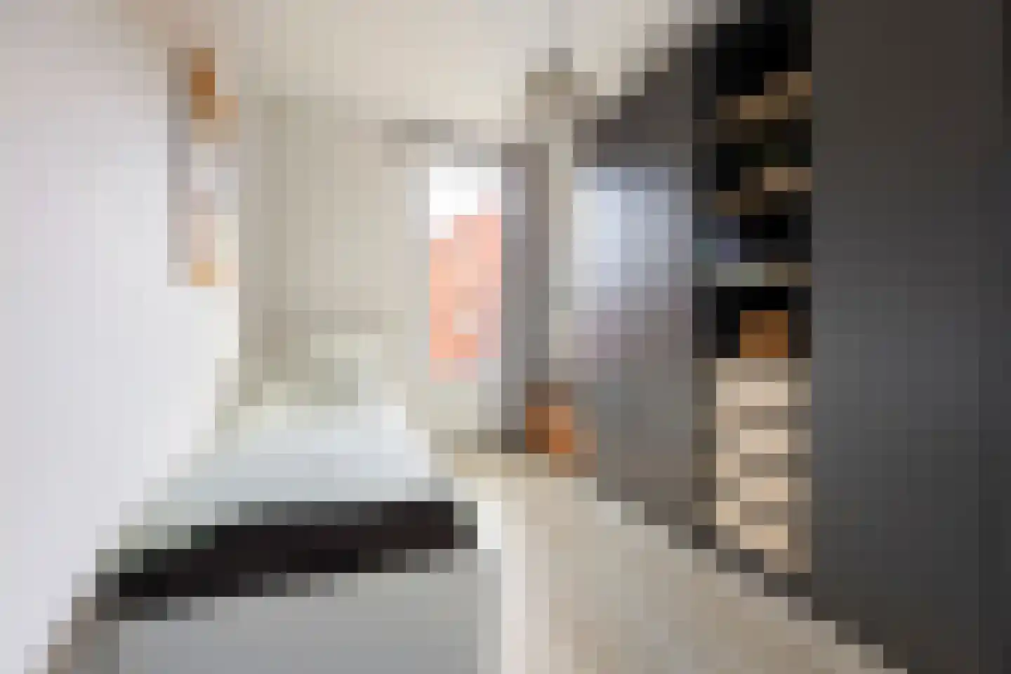 Heijplaat 8 Groningen thumbnail 28