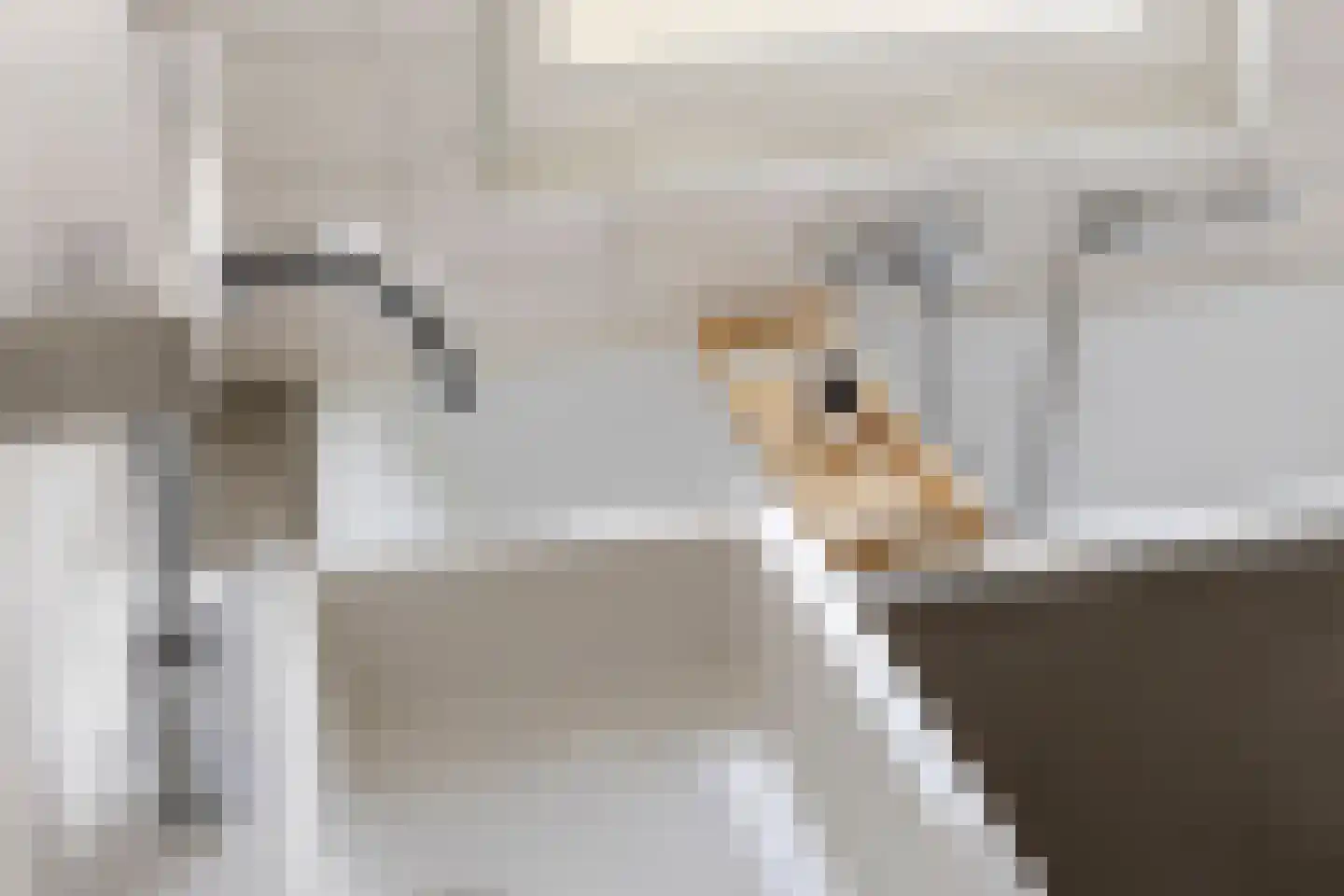 Heijplaat 8 Groningen thumbnail 30