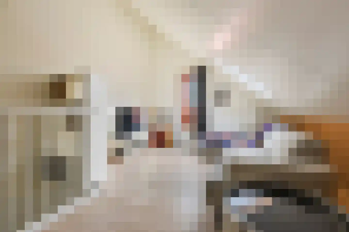 Heijplaat 8 Groningen thumbnail 35