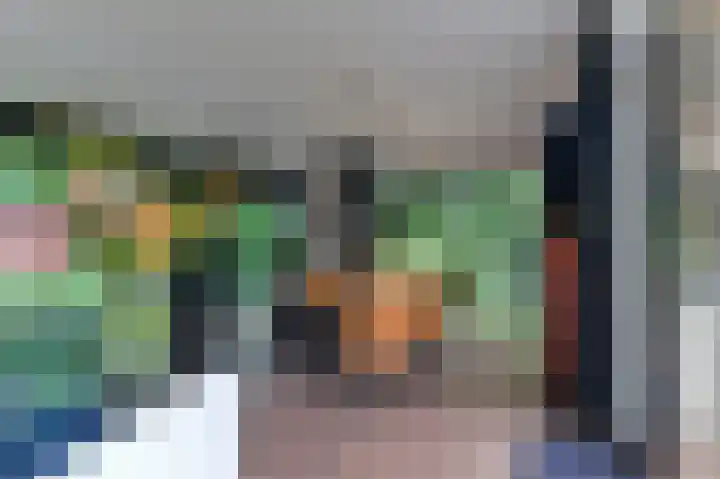 Heijskampstraat 33 A Steyl thumbnail 11