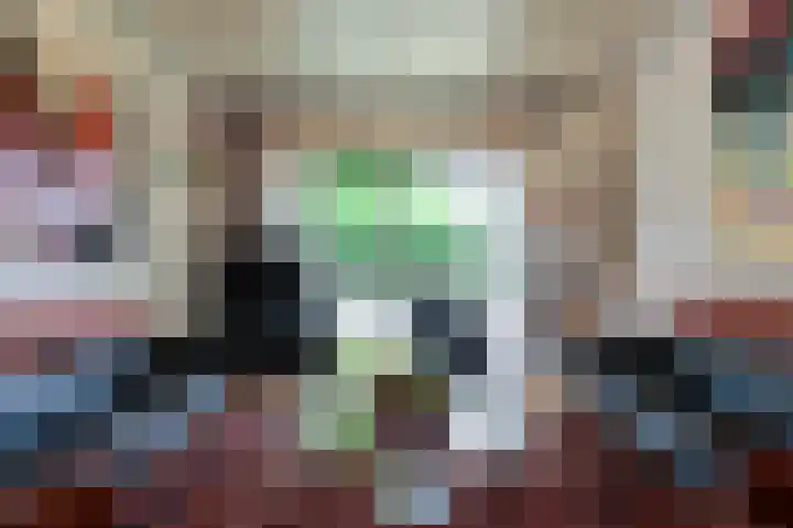 Heijskampstraat 33 A Steyl thumbnail 15