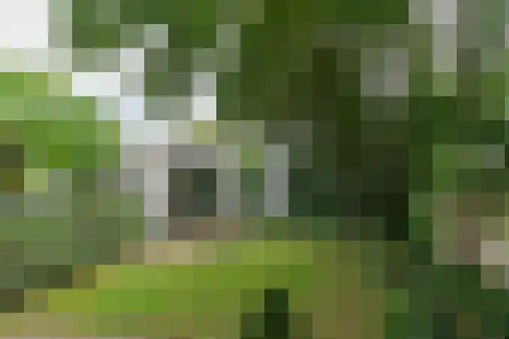 Heijskampstraat 33 A Steyl thumbnail 32