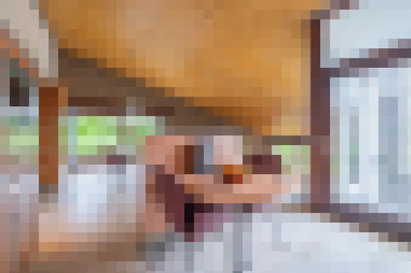 Heijskampstraat 35 Steyl thumbnail 24