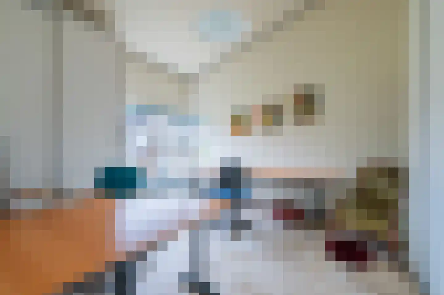 Heijskampstraat 35 Steyl thumbnail 25