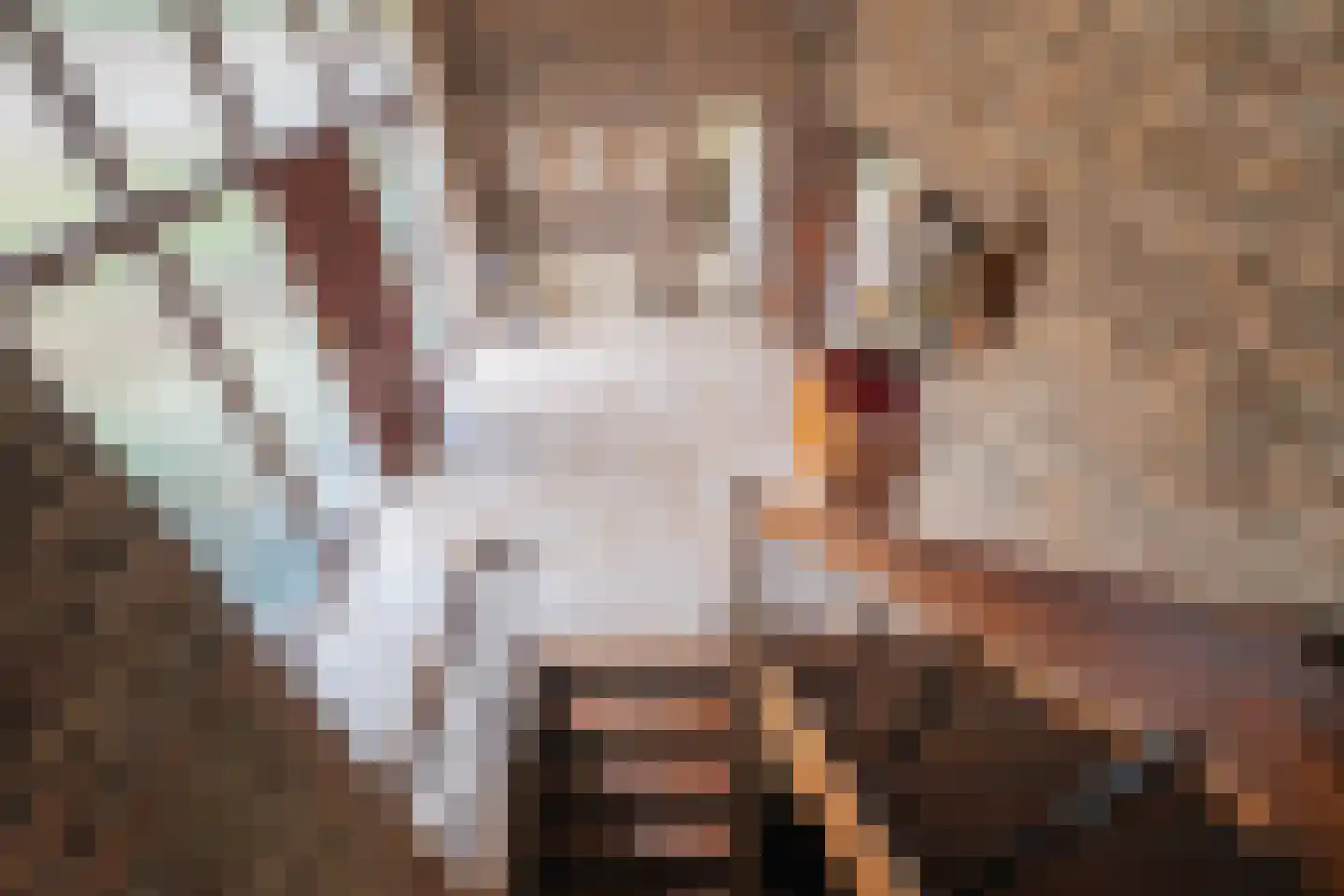 Heijskampstraat 35 Steyl thumbnail 31