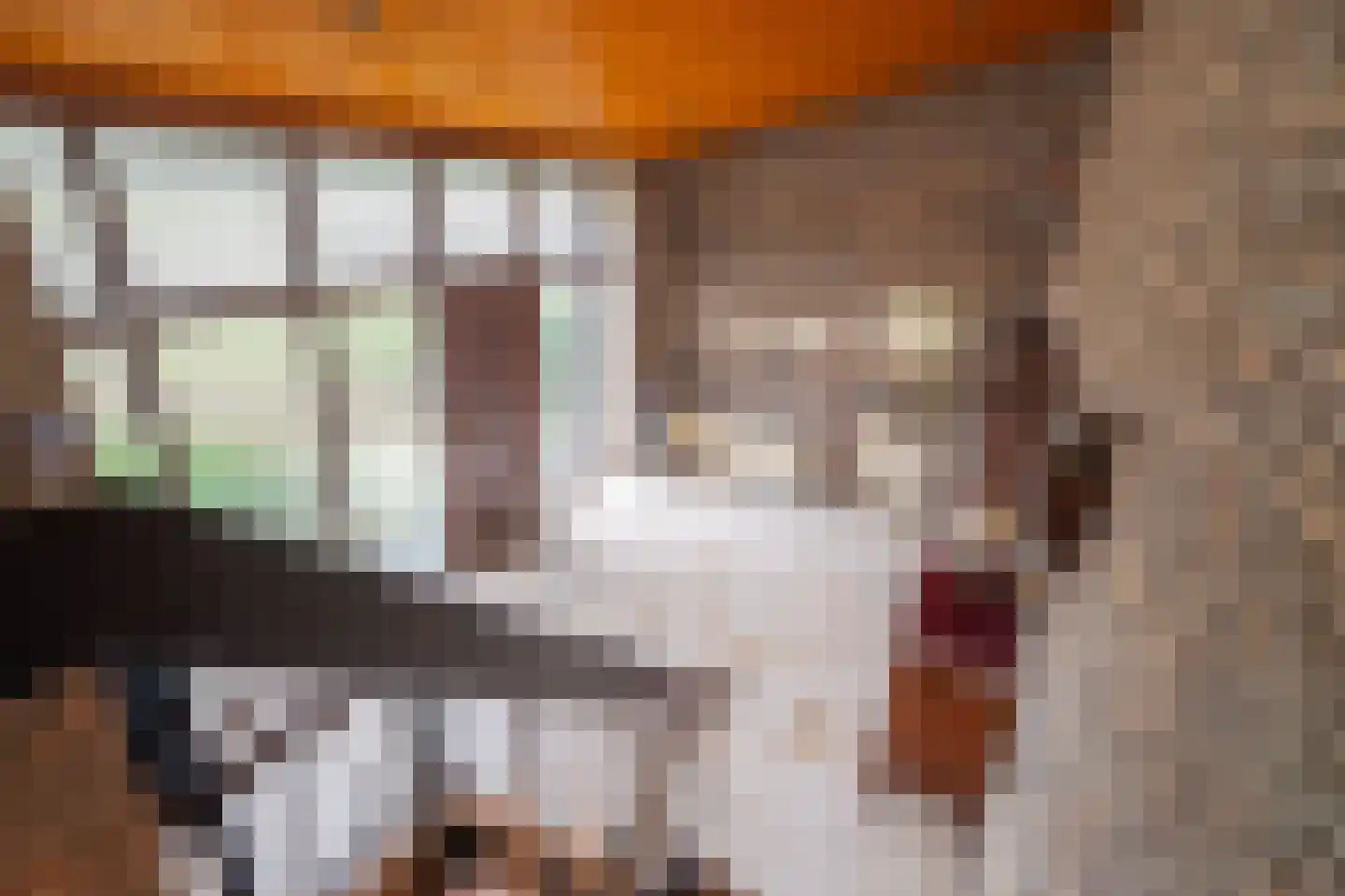Heijskampstraat 35 Steyl thumbnail 32